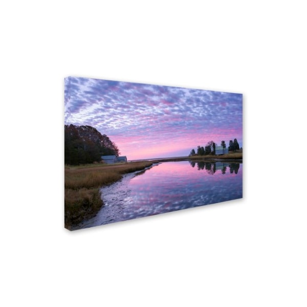 Michael Blanchette Photography 'Rosy Billow' Canvas Art,30x47